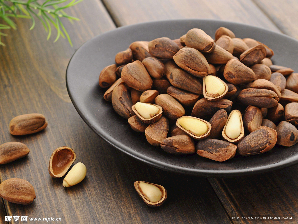 开口松子摄影图