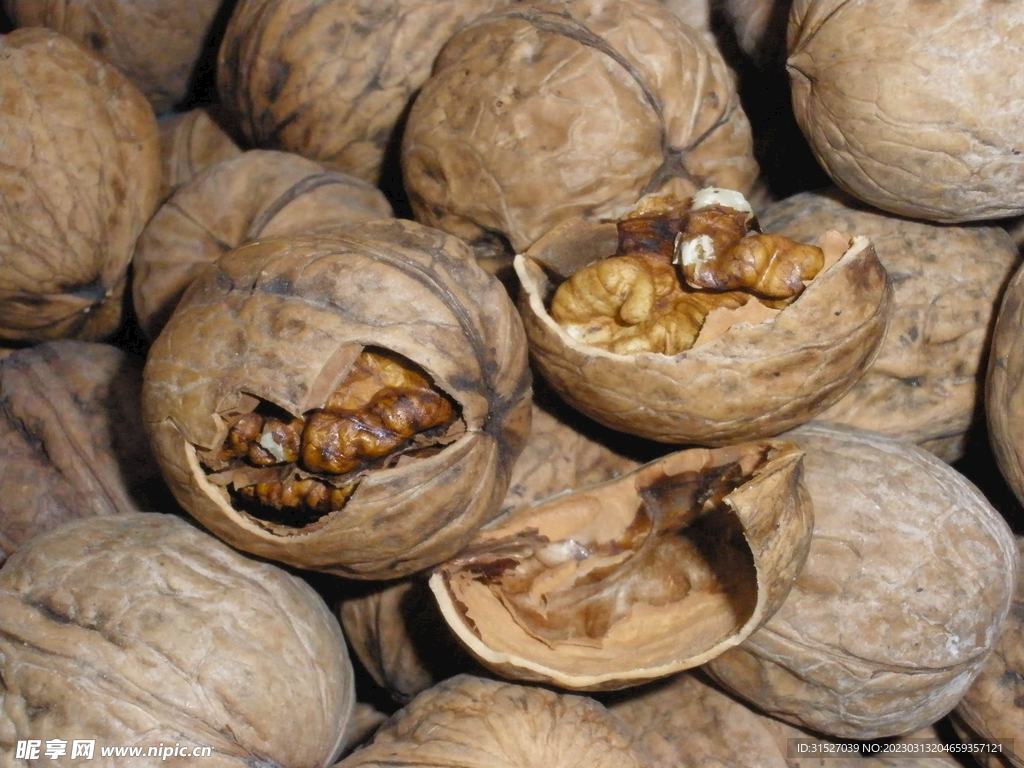 核桃图片素材