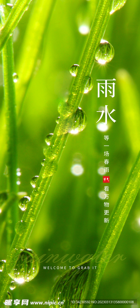 雨水