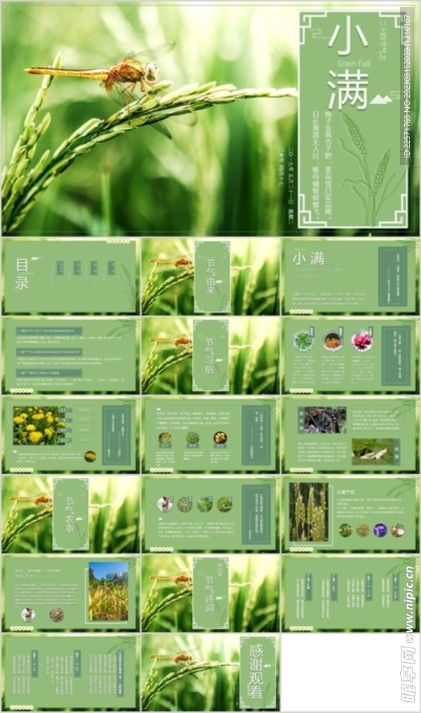 24节气小满ppt节日