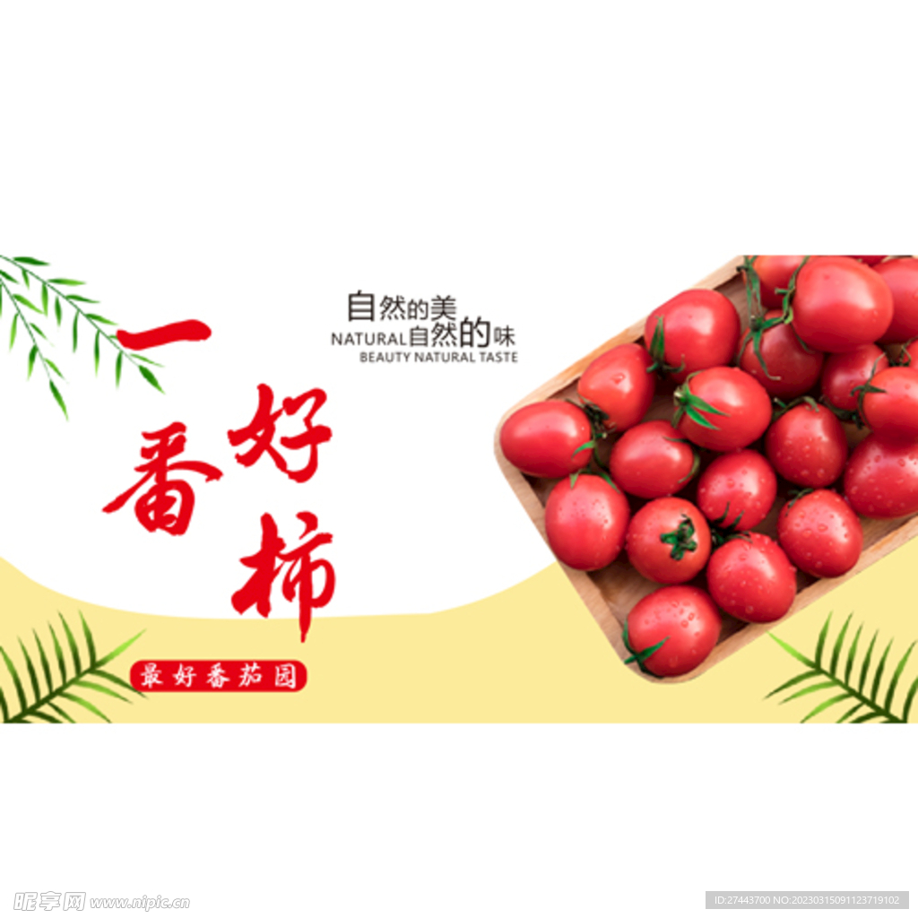 圣女果 小番茄 包装箱 礼盒 