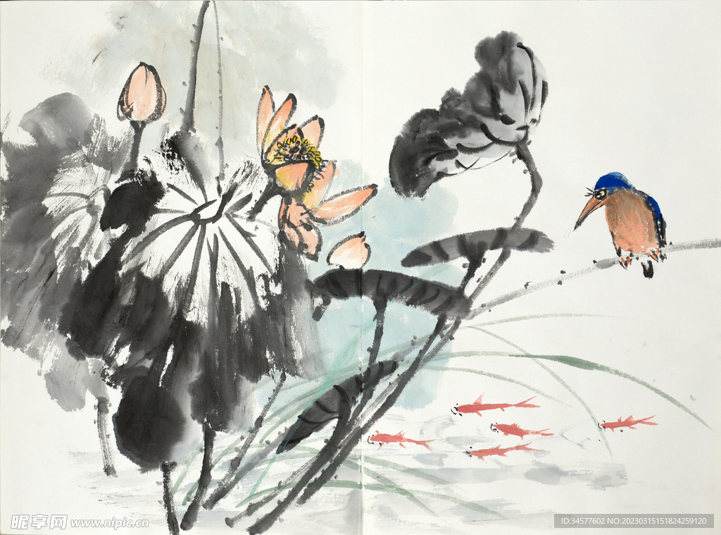 水彩画 荷花与鸟