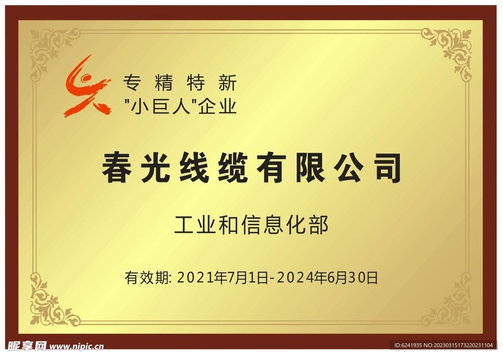 国家级专精特新小巨人企业