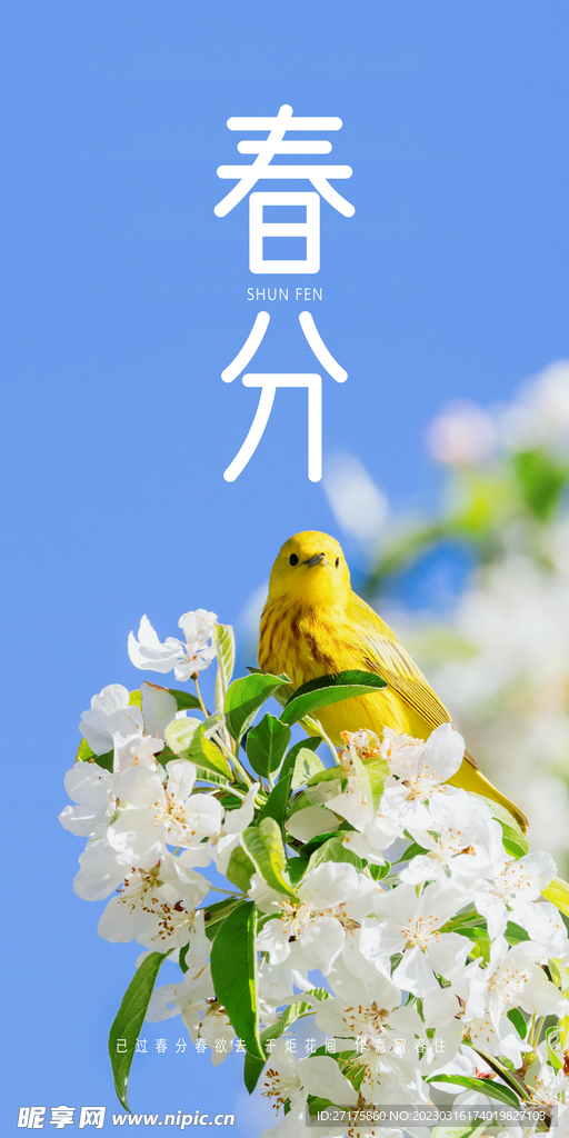 春分