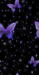 紫色蝴蝶