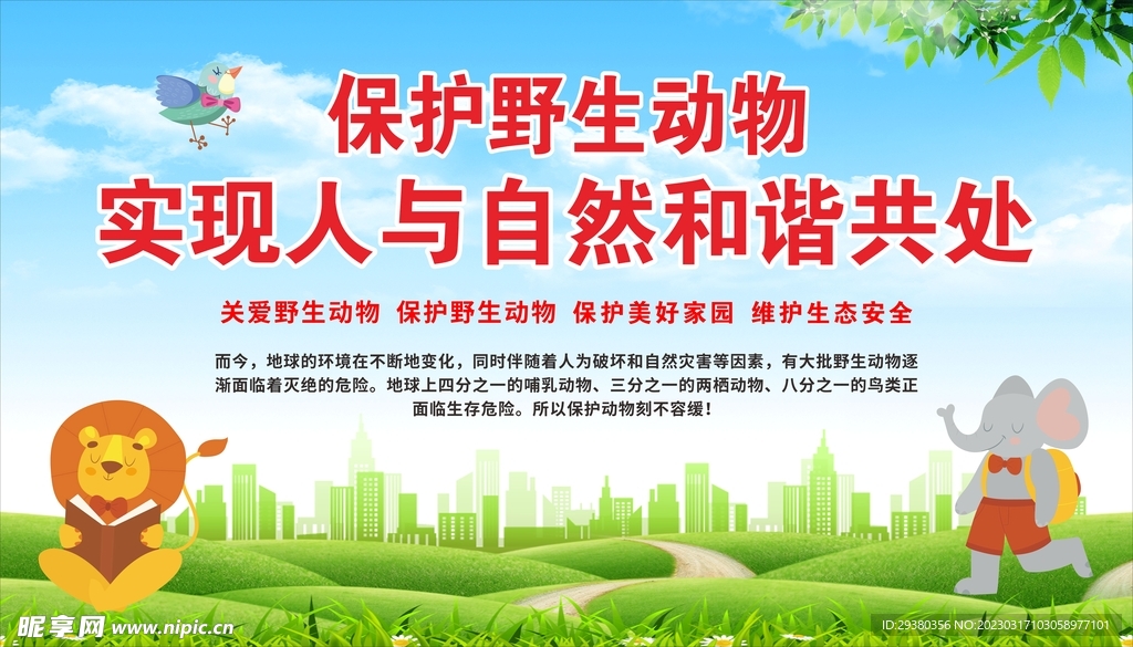 保护野生动物展板