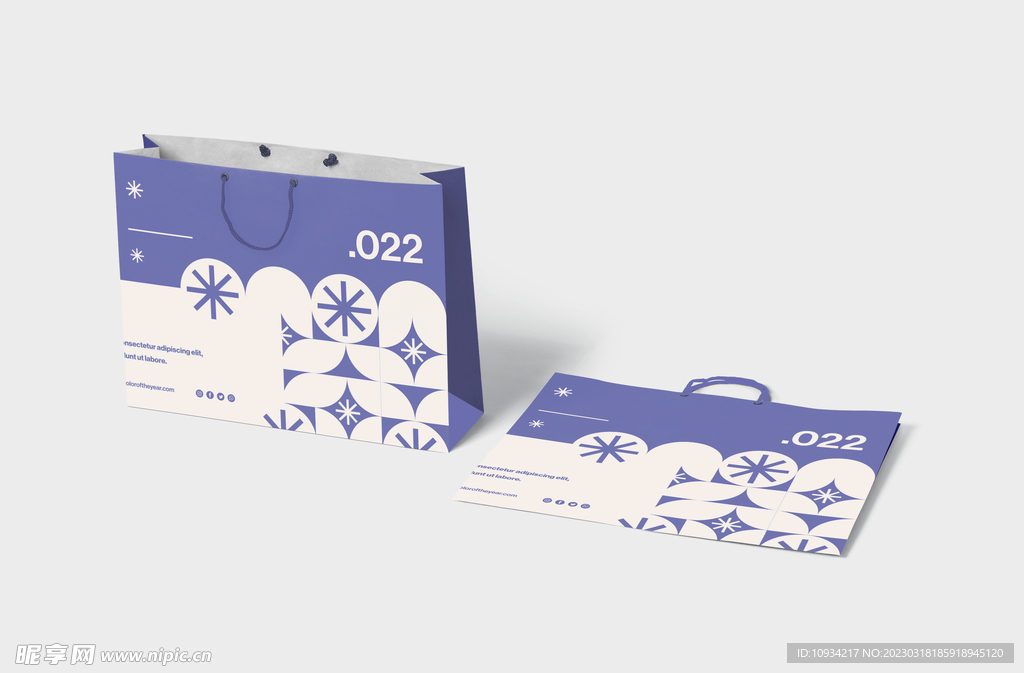 样机 提案 标志 VI 纸袋 