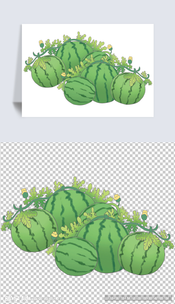 原创小清新西瓜藤手绘插画