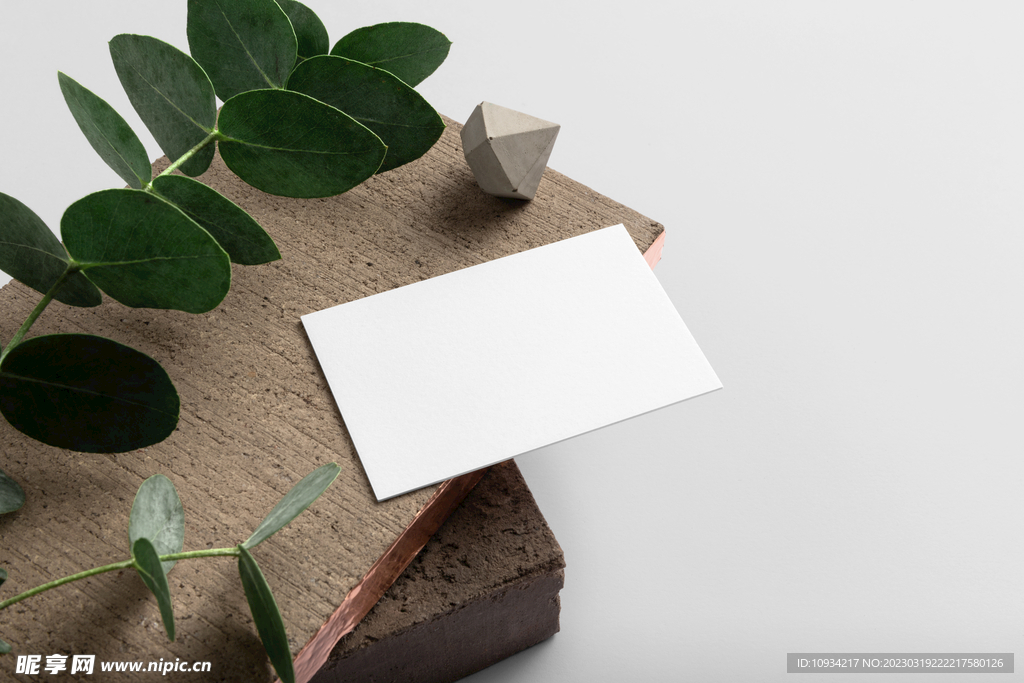 样机 提案 标志 VI 名片