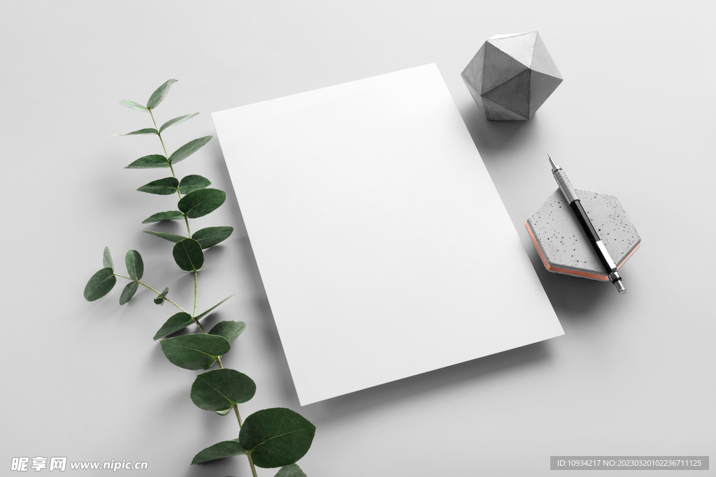 样机 提案 标志 VI 信封