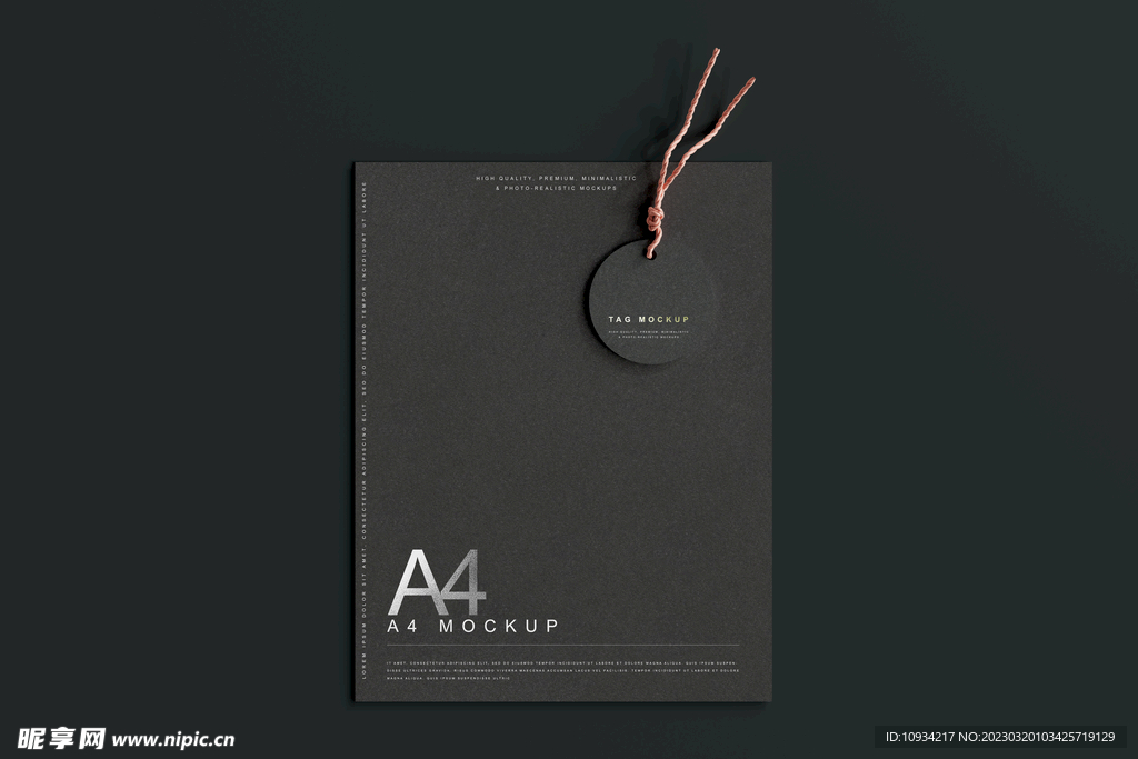 样机 提案 标志 VI  吊牌