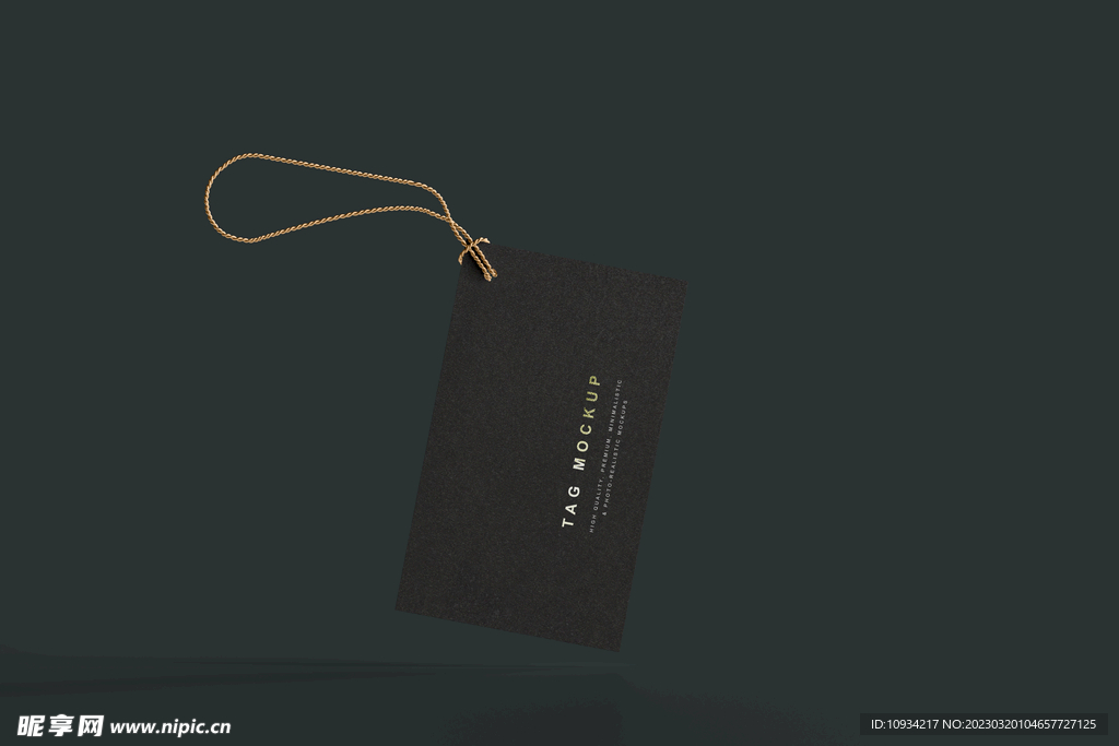 样机 提案 标志 VI  吊牌