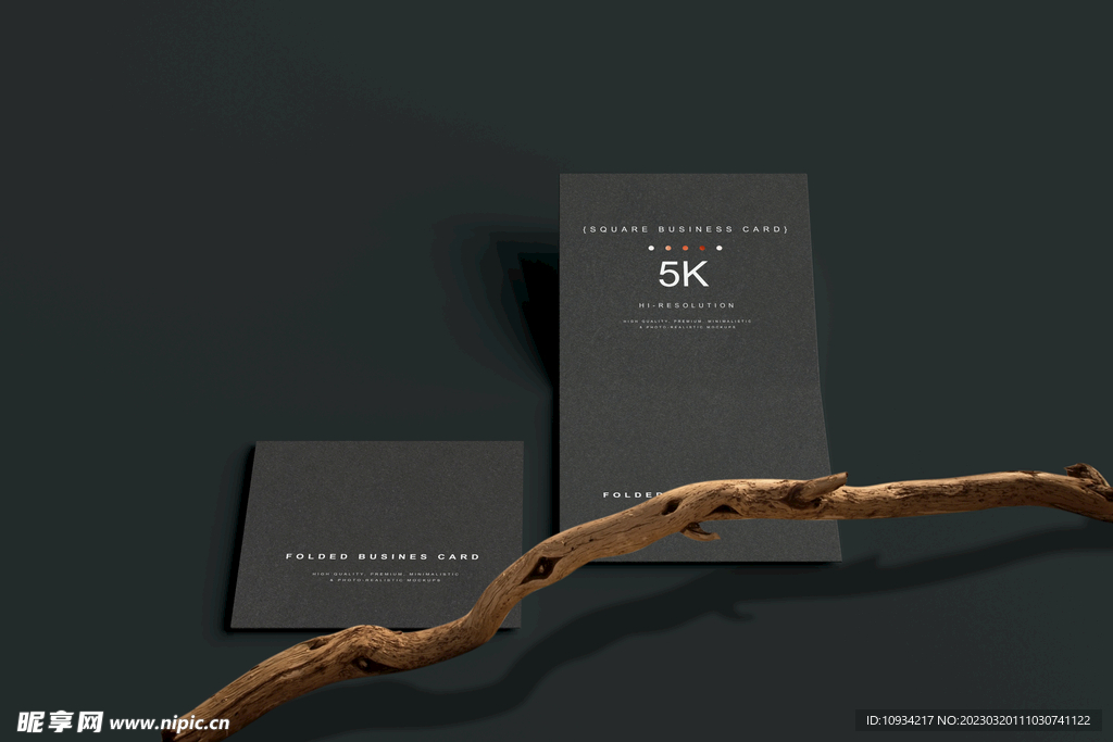 样机 提案 标志 VI  卡片