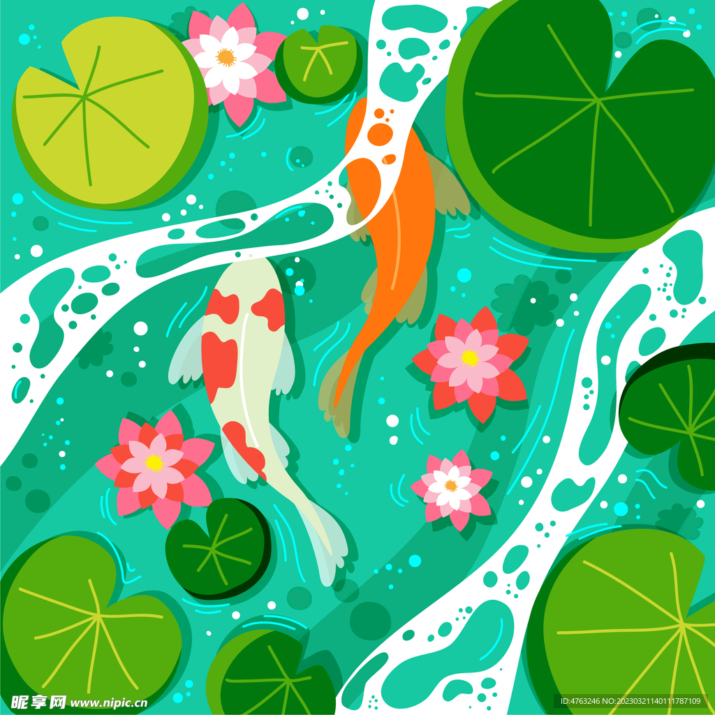 二十四节气 荷花 鲤鱼