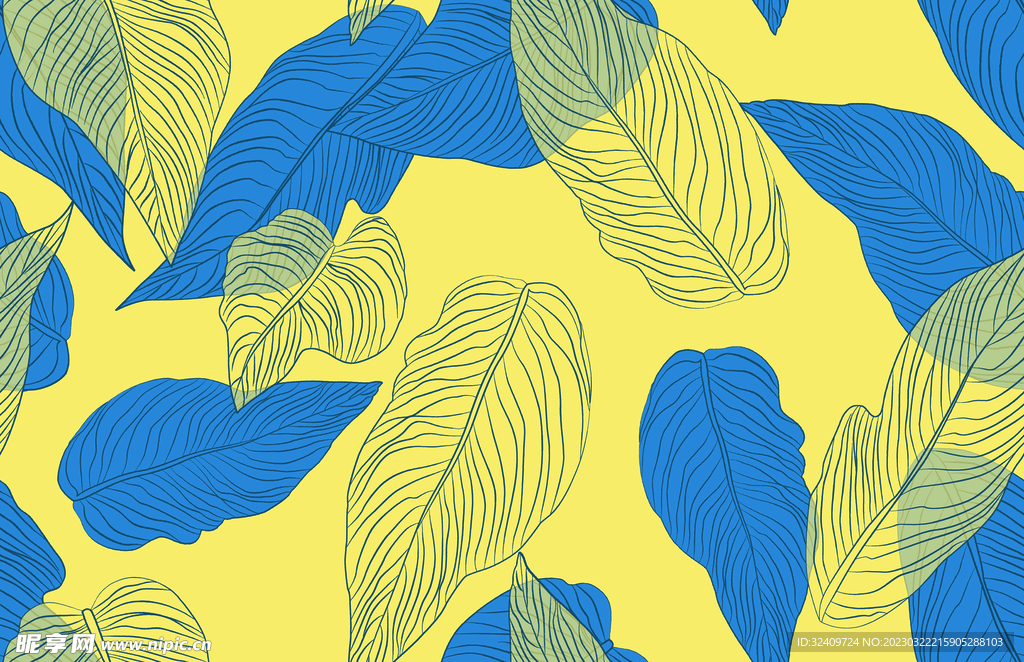 大牌 热带叶子 植物