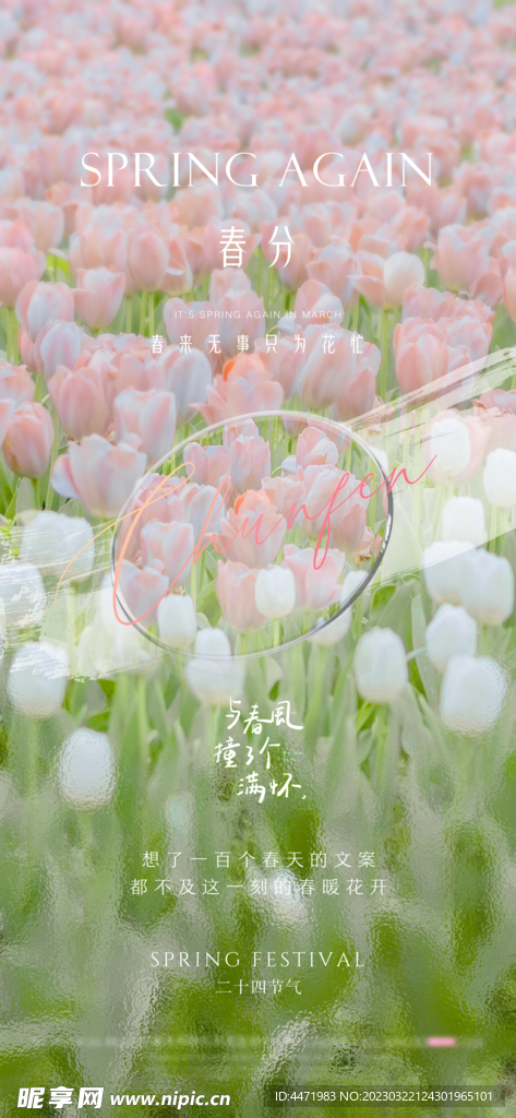 春天花卉海报