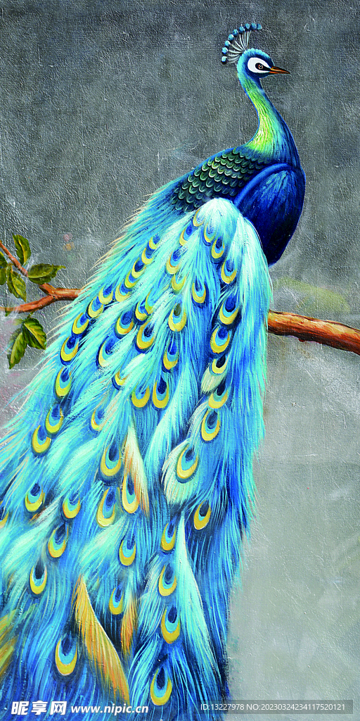 背景墙 蓝色孔雀