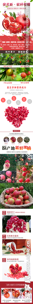 石榴详情页