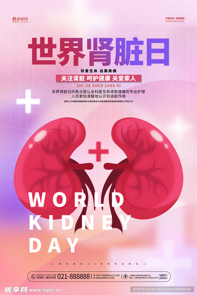 世界肾脏日