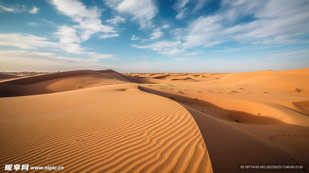 一望无垠的沙漠