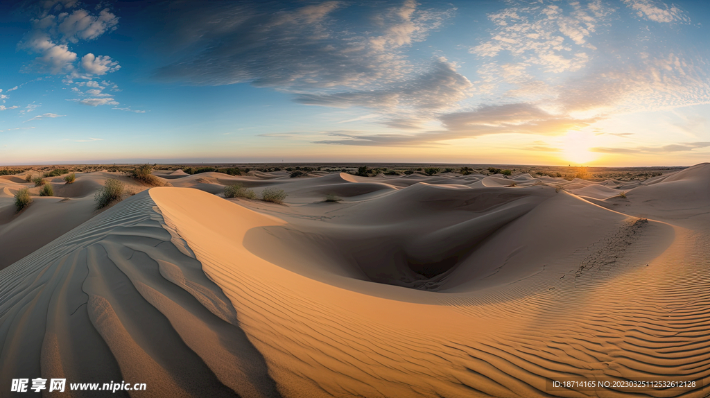 一望无垠的沙漠
