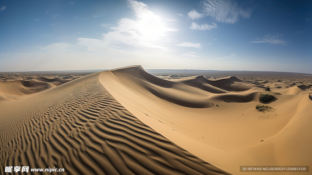 一望无垠的沙漠