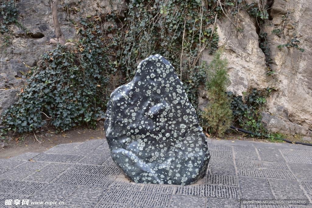 梅花玉石头景观