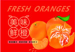 橙子包装设计