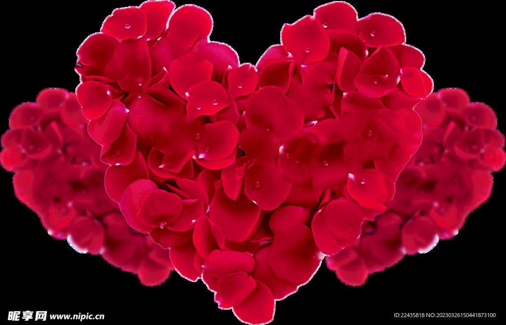 爱心玫瑰花瓣红玫瑰花免扣素材