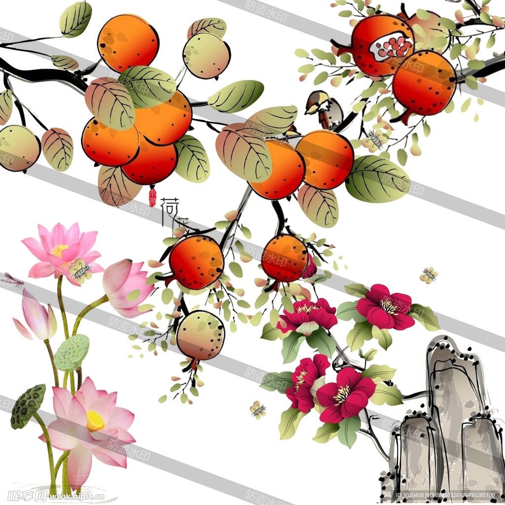 石榴荷花橘子矢量图