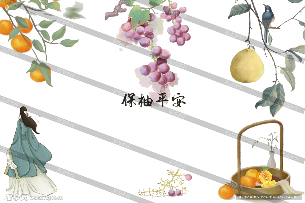 柚子 葡萄 橘子矢量图