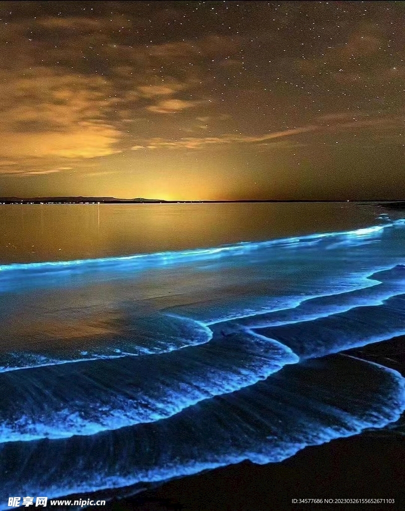 蓝眼泪的那一处光