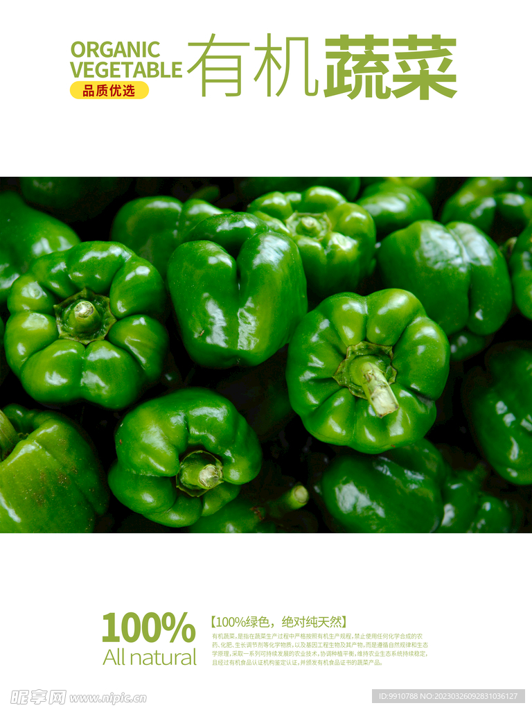 青椒 辣椒 蔬菜海报