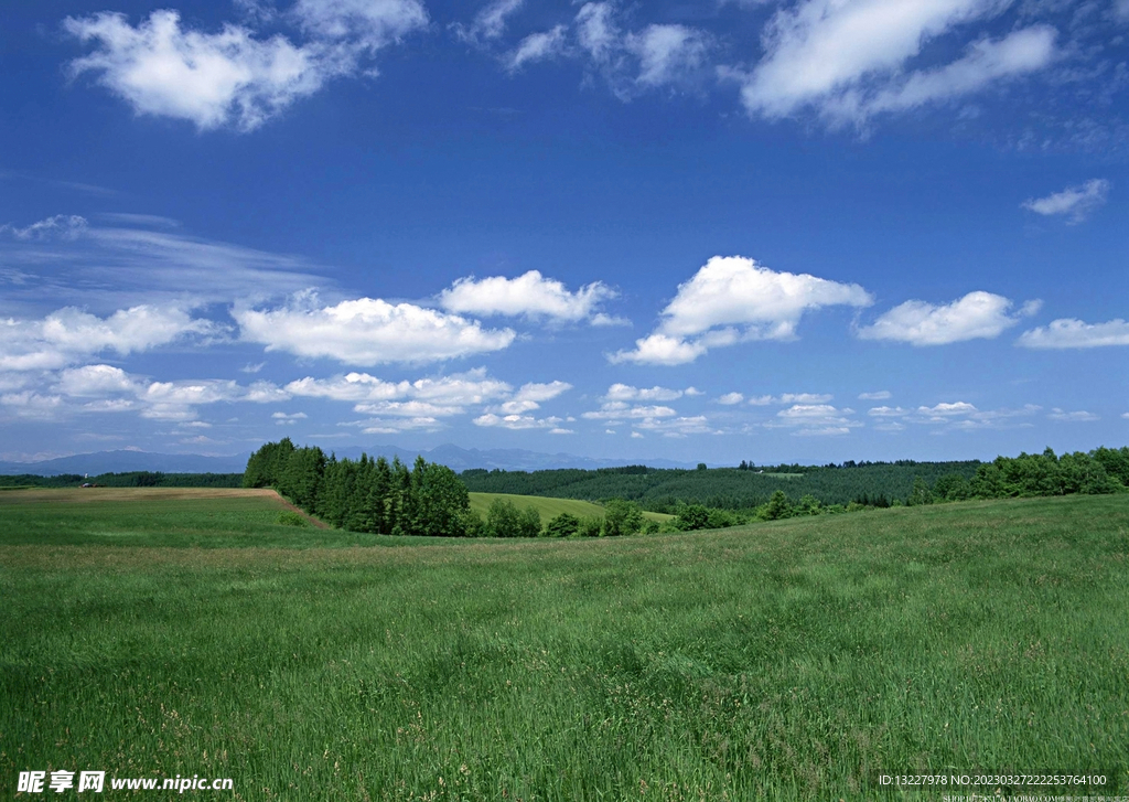 蓝天白云绿草