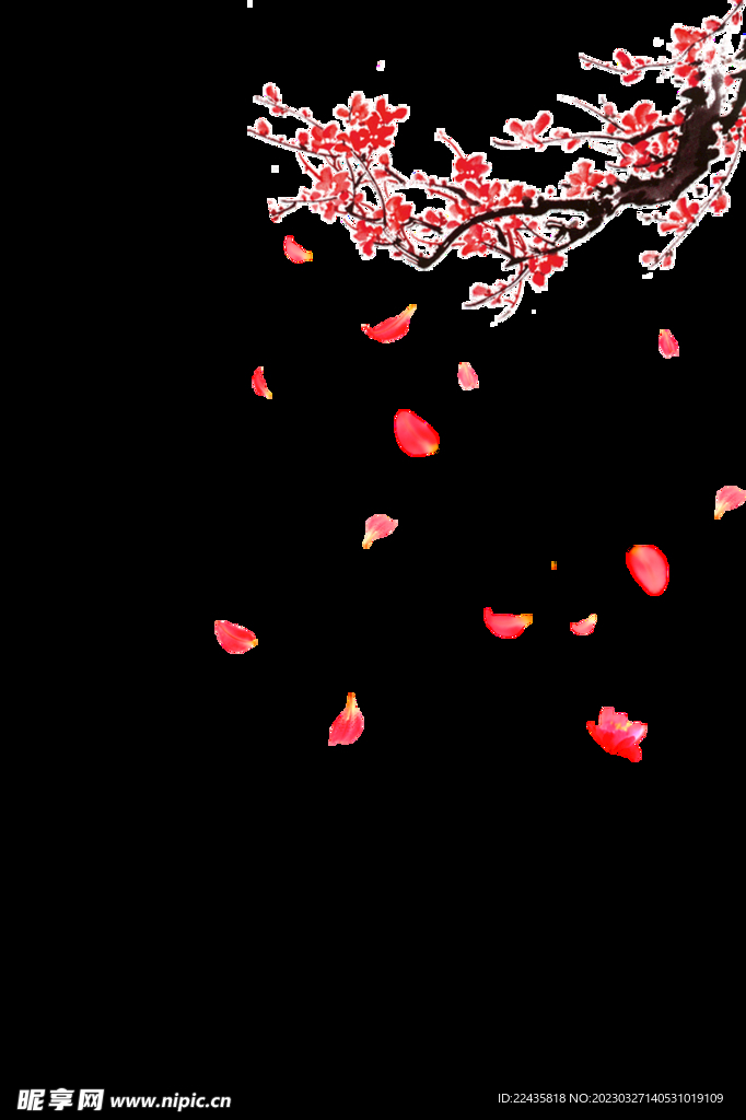梅花PNG免扣鲜花素材