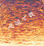 背景底纹 油画 红黄彩色