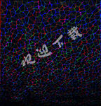 不规则底纹背景 黑 彩色纹路