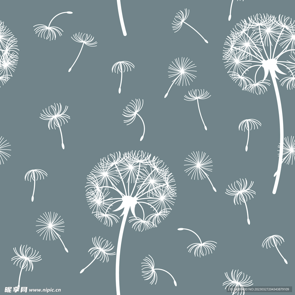 蒲公英图案