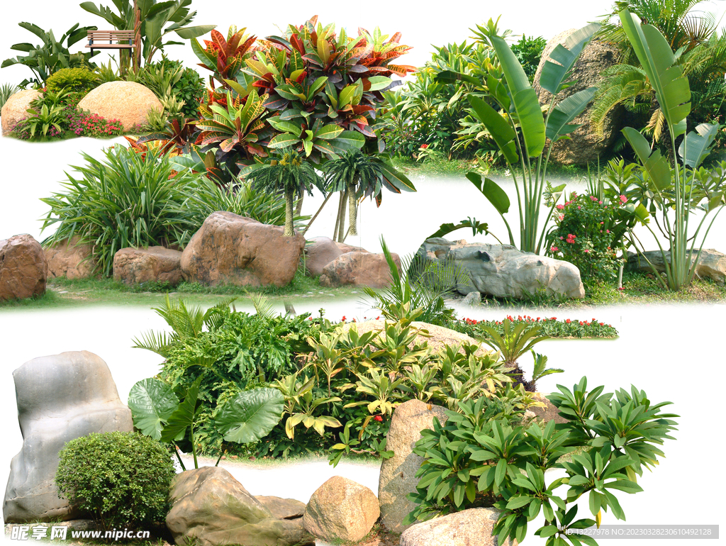 景观效果图树丛