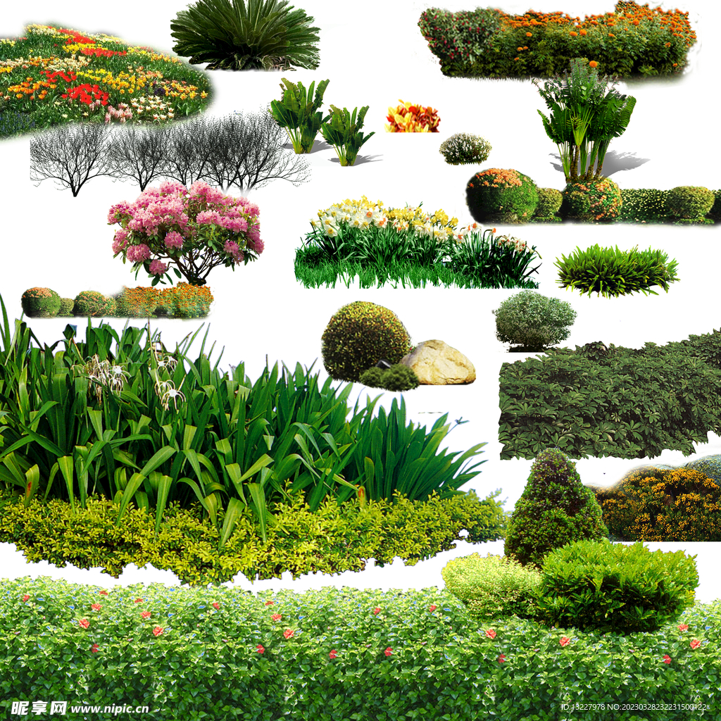 草丛 花丛效果图