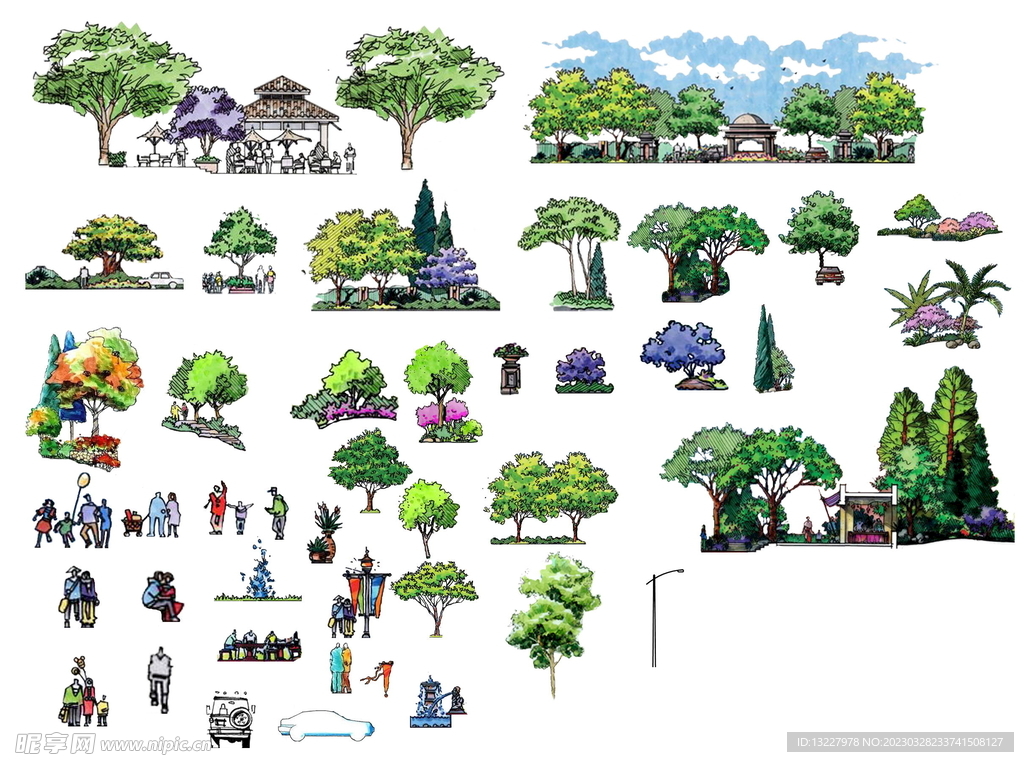 手绘植物 效果图 