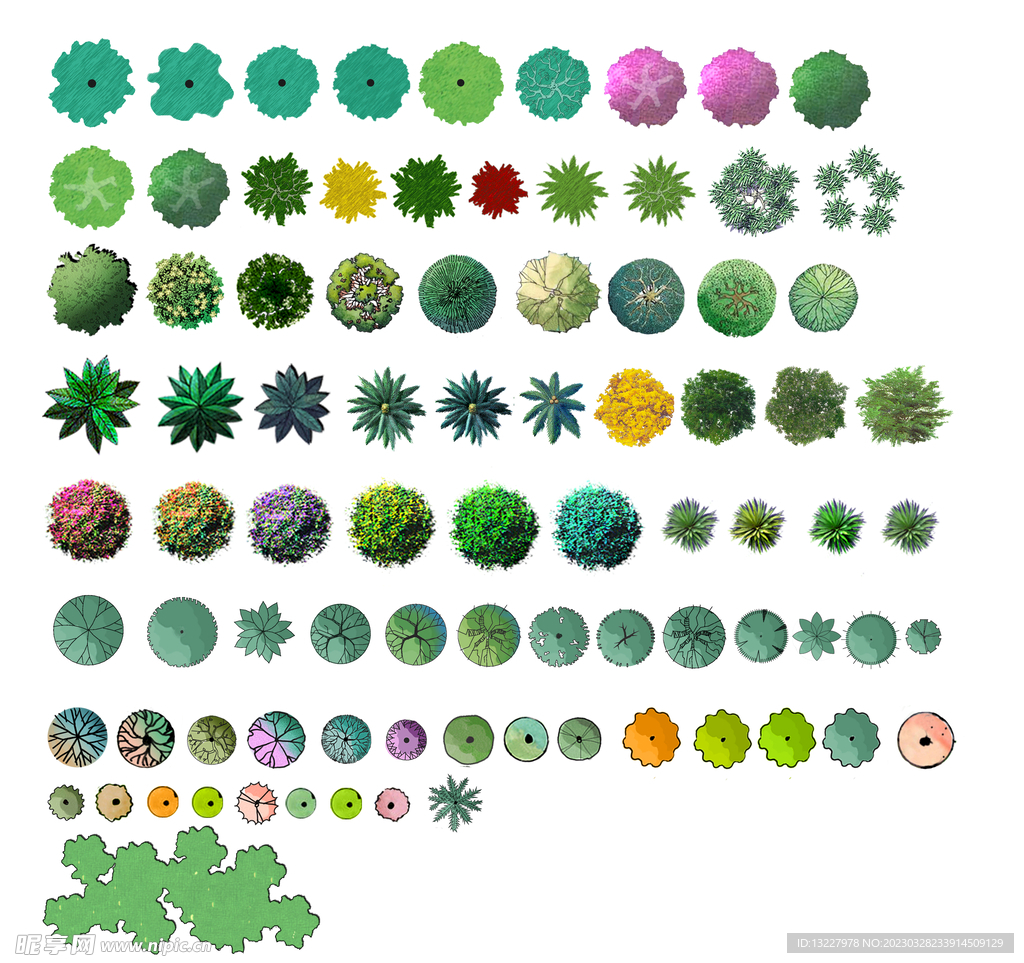 手绘植物 效果图素材