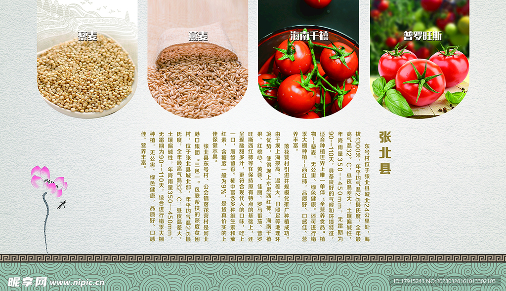 张北县介绍展板