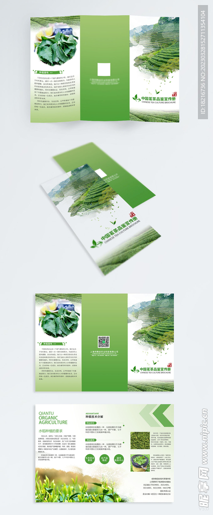 农产品农业茶叶高端三折页