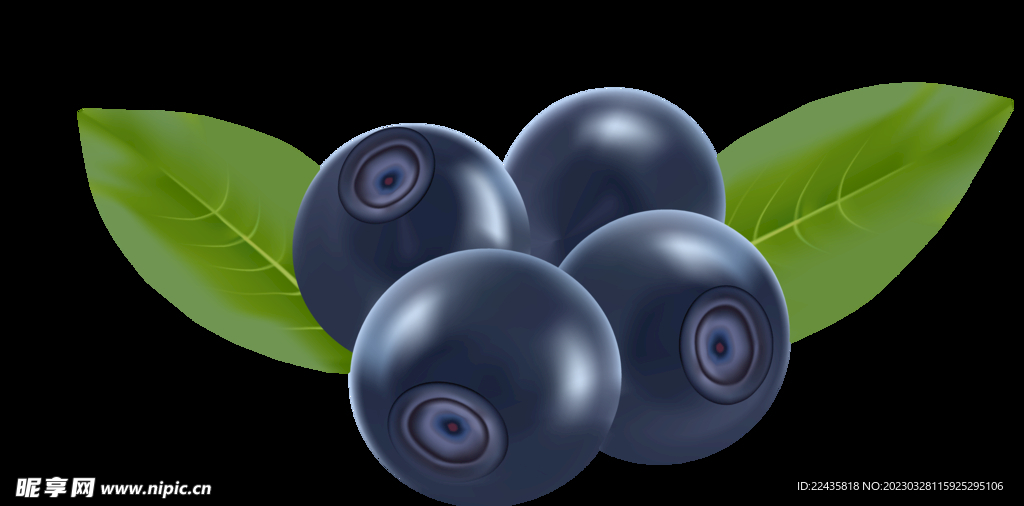 蓝莓PNG免扣水果素材