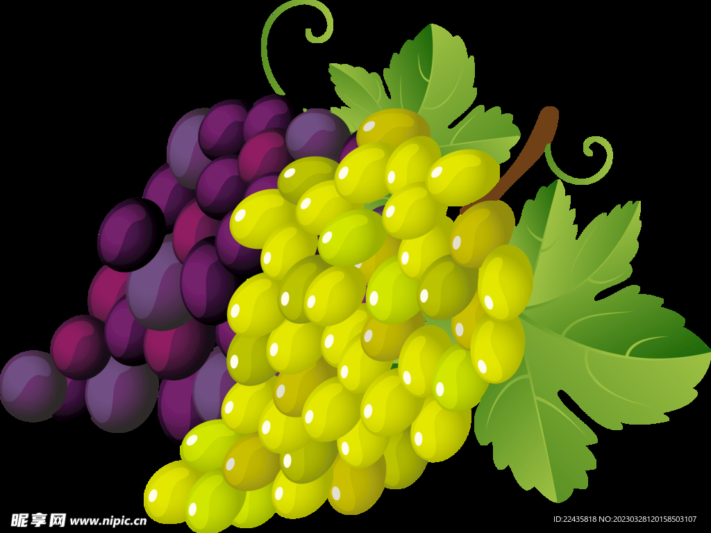 新鲜葡萄PNG免扣水果素材