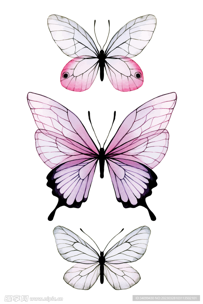 卡通蝴蝶