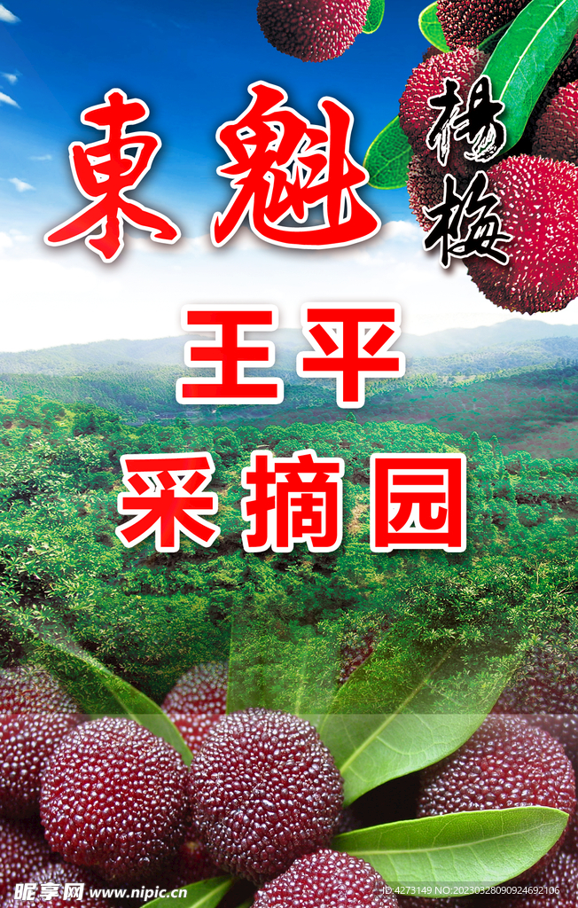 东魁扬梅海报灯箱