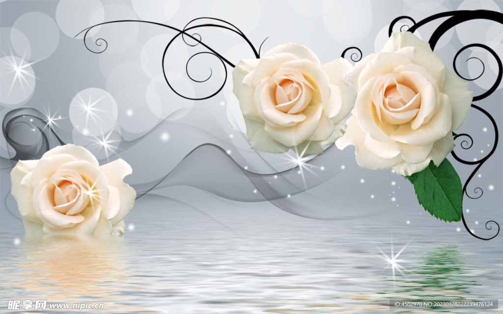 白玫瑰背景素材