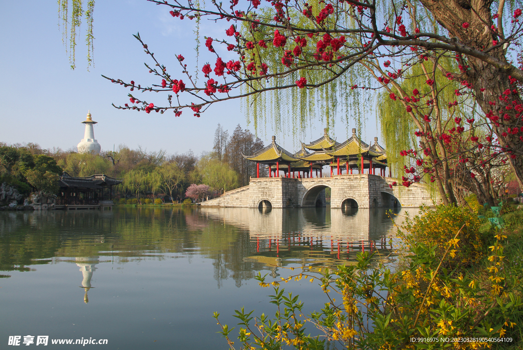 花儿掩映中的五亭桥